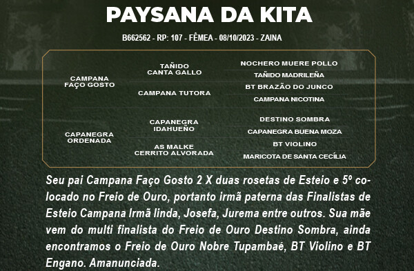 Geração PAYSANA DA KITA 