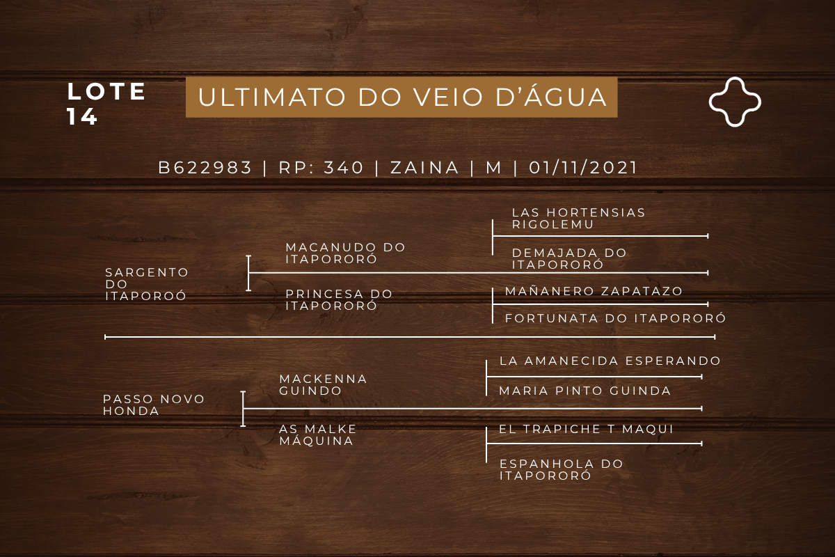 Geração ULTIMATO DO VEIO D'AGUA 