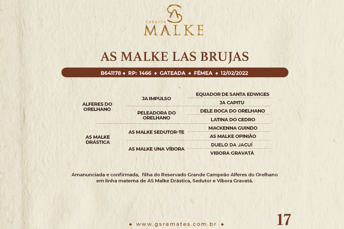 Geração AS MALKE LAS BRUJAS