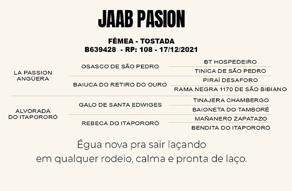 Geração JAAB PASION
