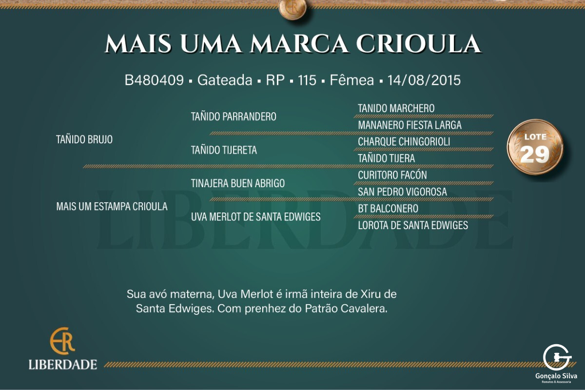 Geração  MAIS UMA MARCA CRIOULA