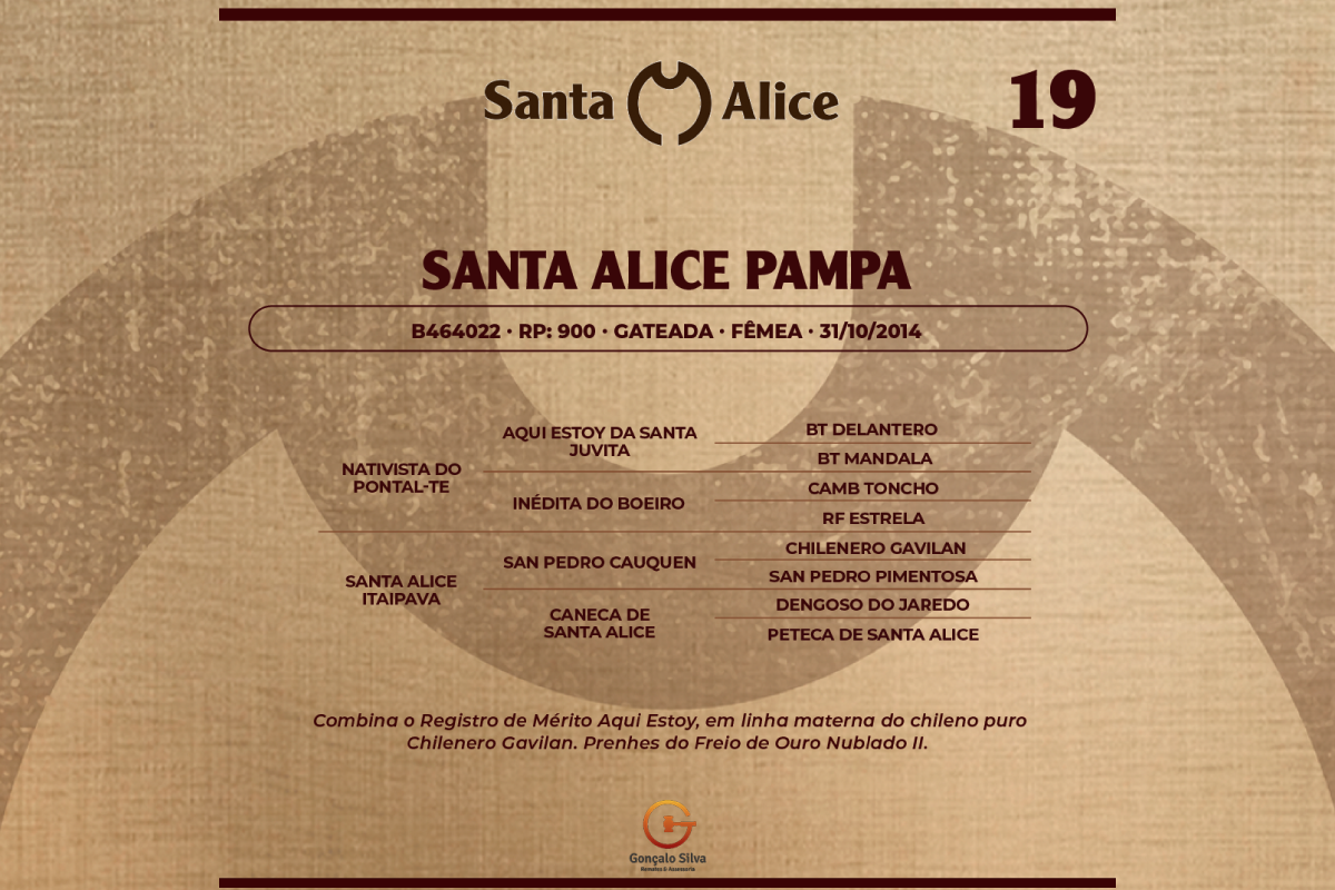 Geração SANTA ALICE PAMPA