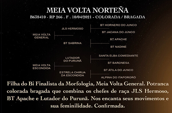 Geração MEIA VOLTA NORTEÑA