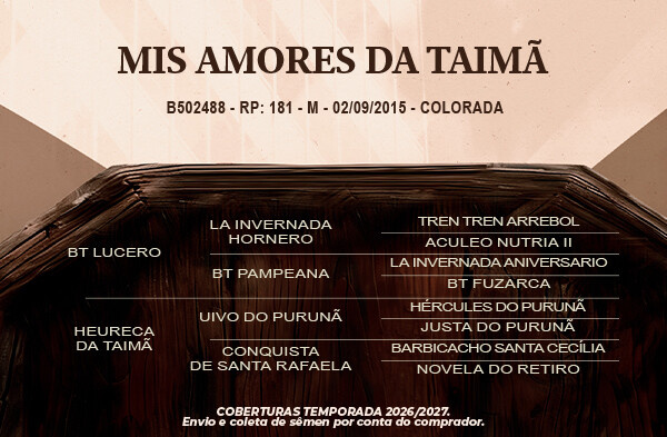 Geração Sargento da Taimã ou Miss Amores da Taimã