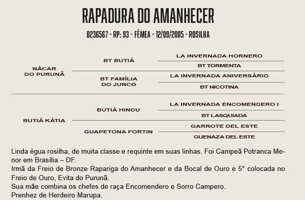 Geração RAPADURA DO AMANHECER