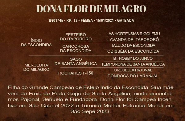 Geração DONA FLOR DE MILAGRO 