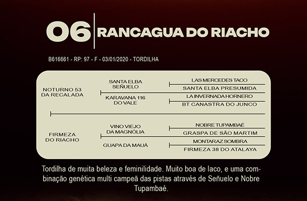 Geração RANCAGUA DO RIACHO