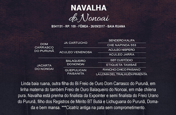 Geração NAVALHA DO NONOAI