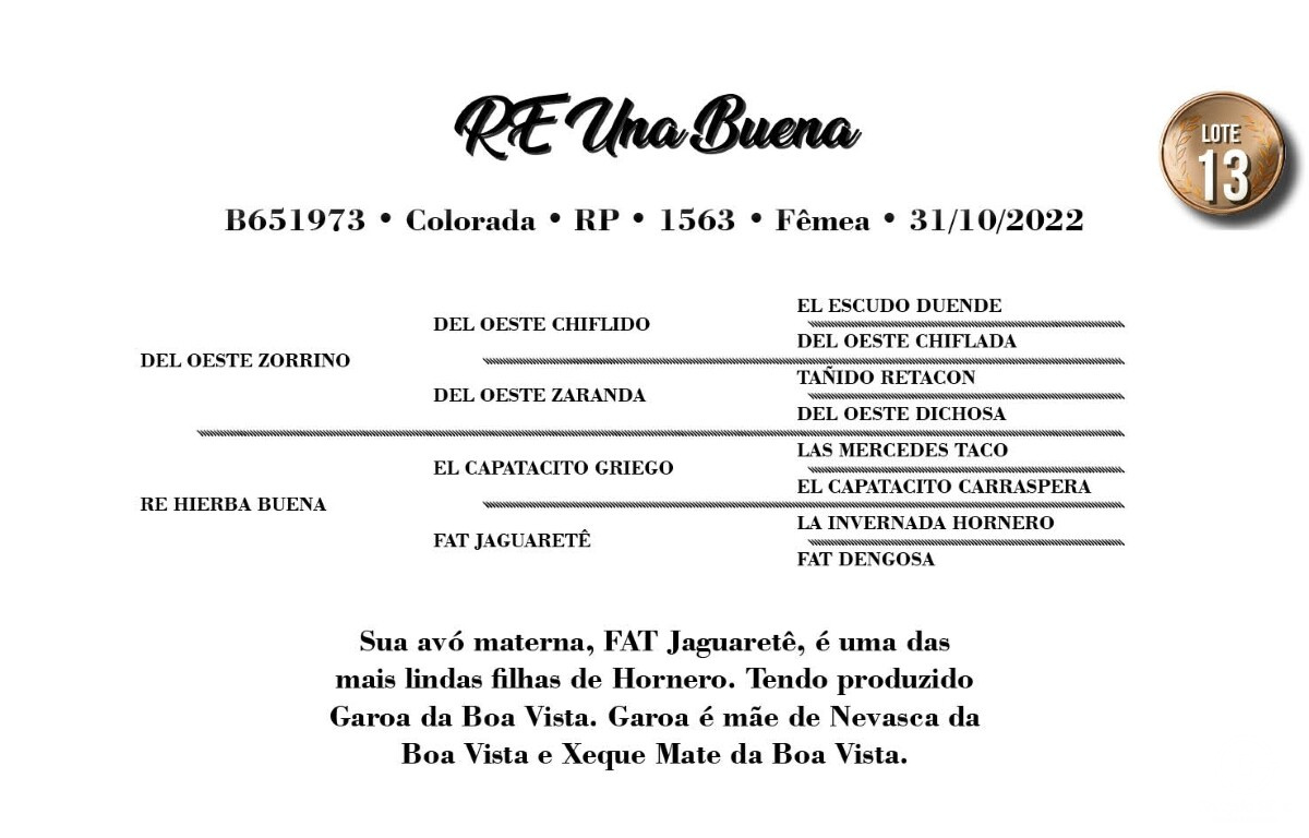 Geração RE UNA BUENA (VENDA VERTICAL)
