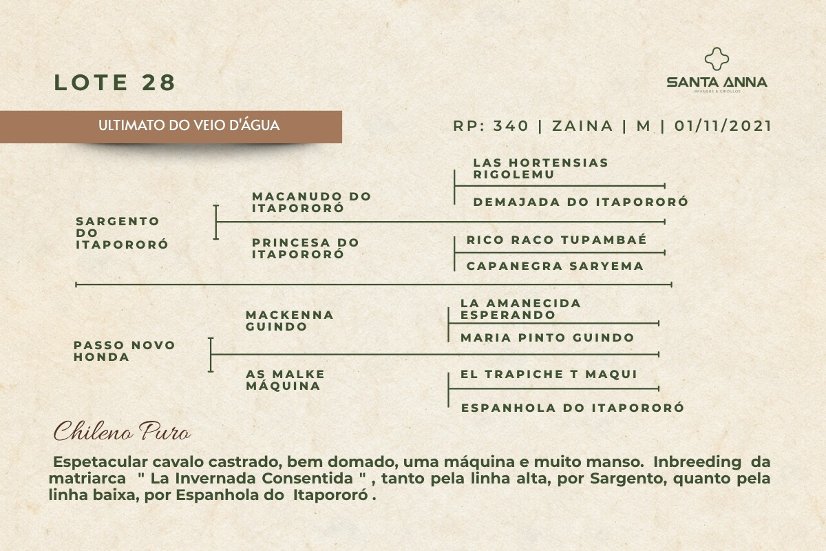 Geração ULTIMATO DO VEIO D'ÁGUA