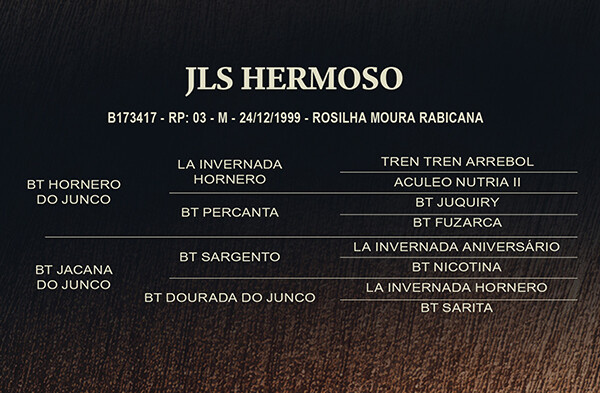 Geração JLS HERMOSO