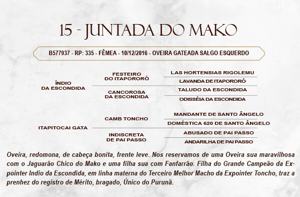 Geração JUNTADA DO MAKO