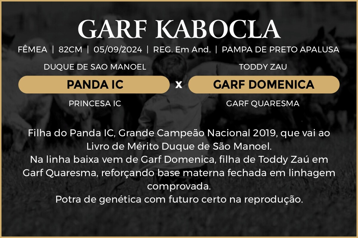Geração GARF KABOCLA