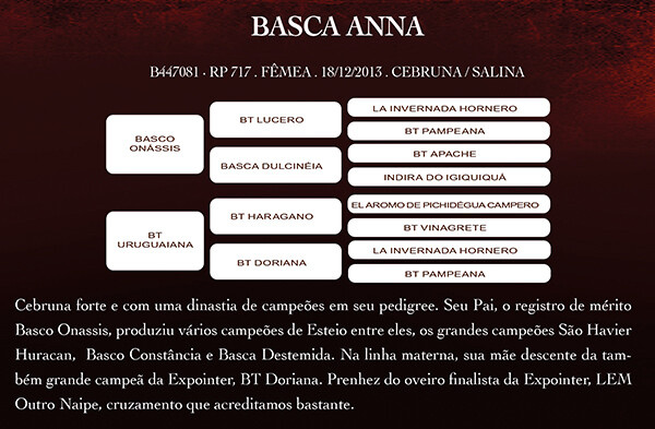Geração BASCA ANNA