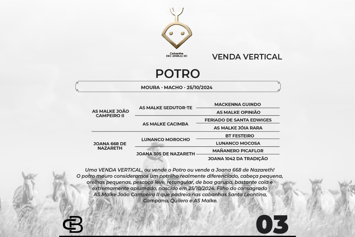 Geração VENDA VERTICAL  POTRO OU JOANA 668 DE NAZARETH