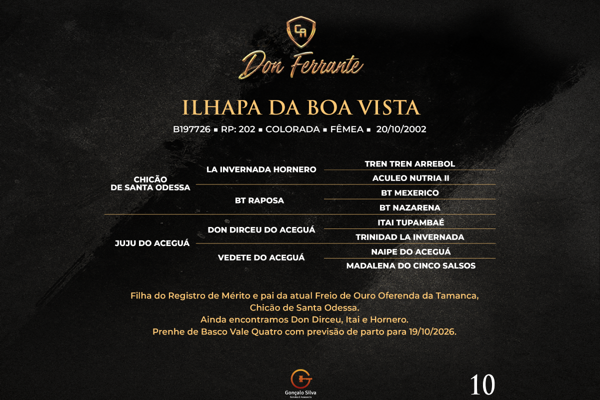 Geração ILHAPA DA BOA VISTA 