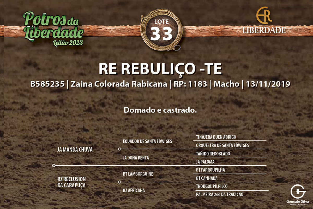 Geração RE REBULIÇO-TE