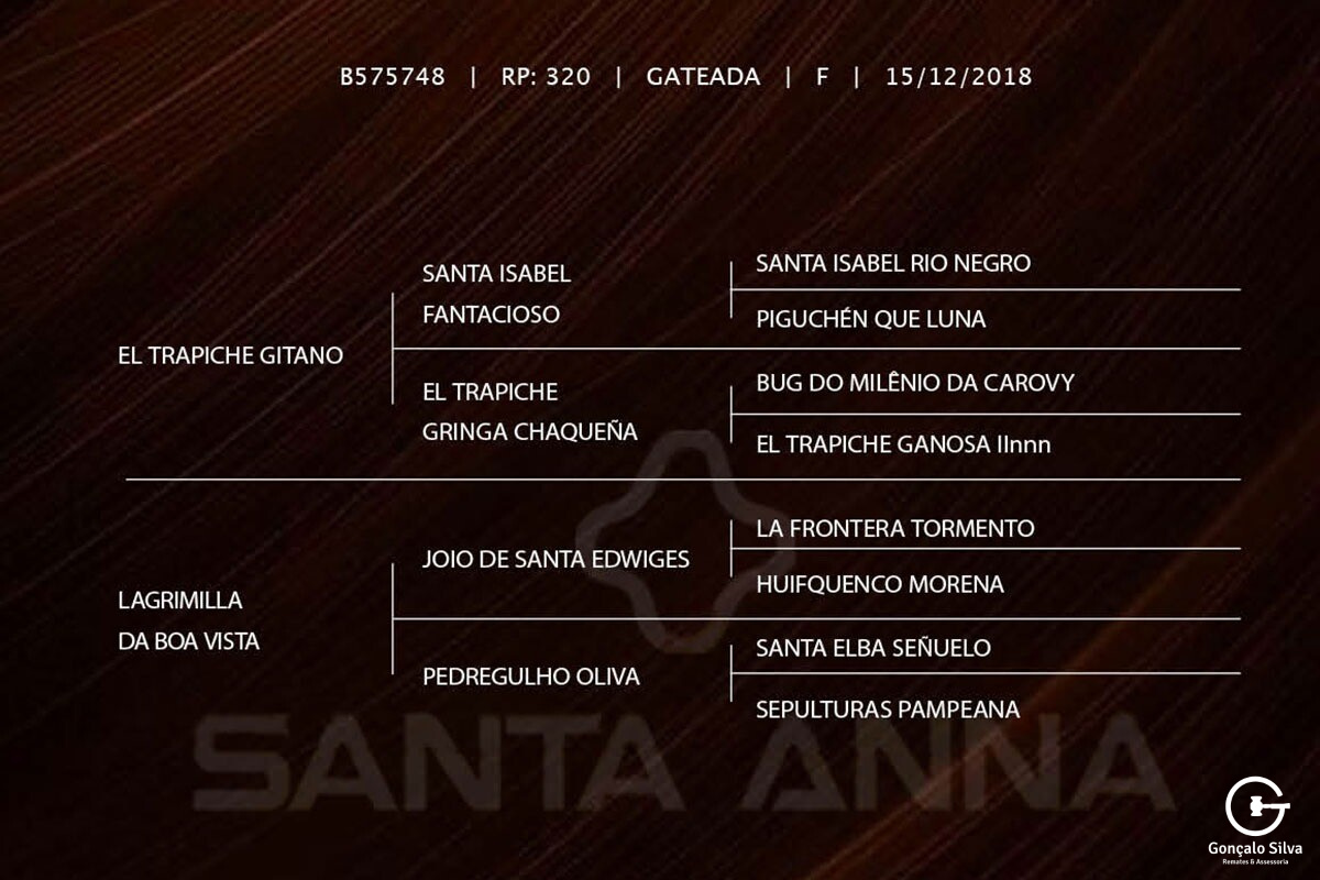 Geração LA GITANA TAPE