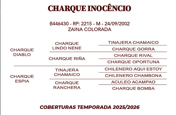 Geração CHARQUE INOCENCIO