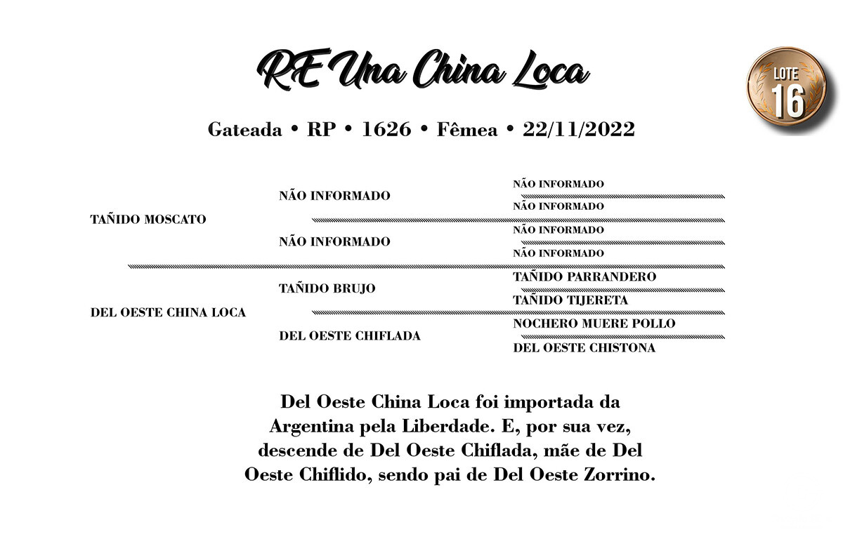 Geração RE UNA CHINA LOCA (VENDA VERTICAL)
