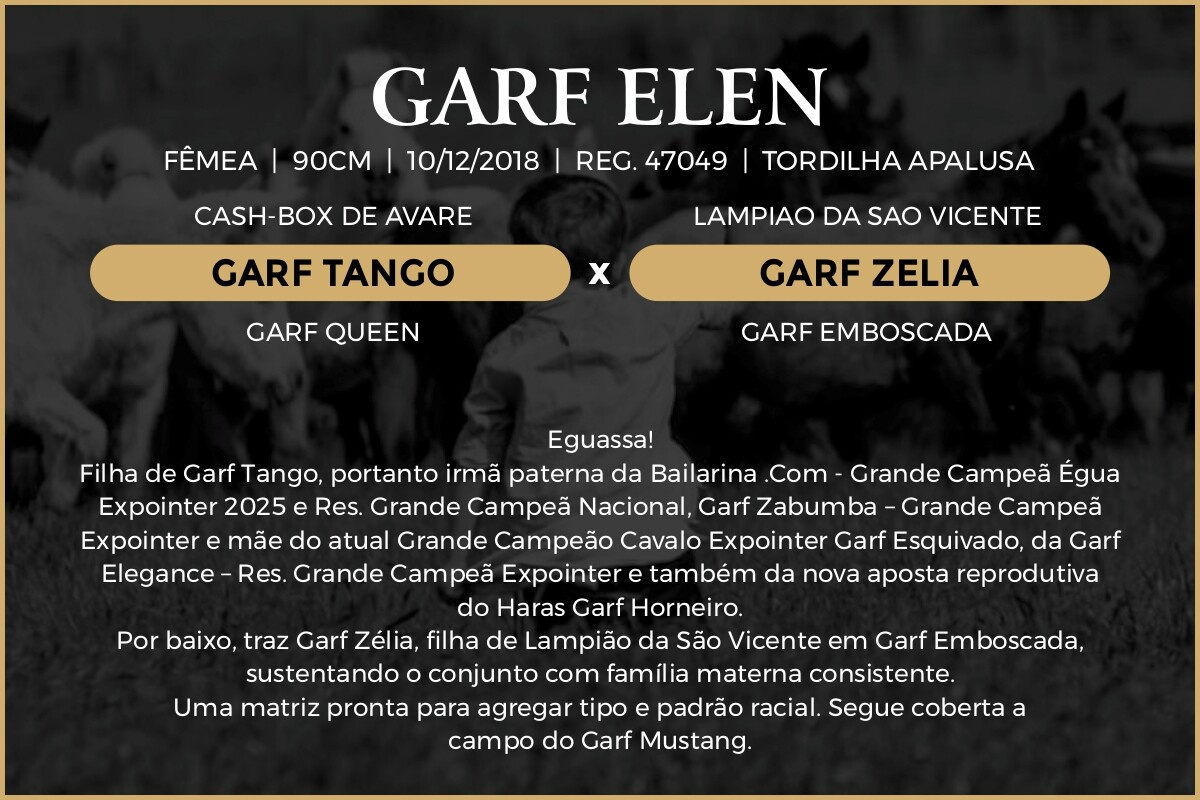 Geração GARF ELEN