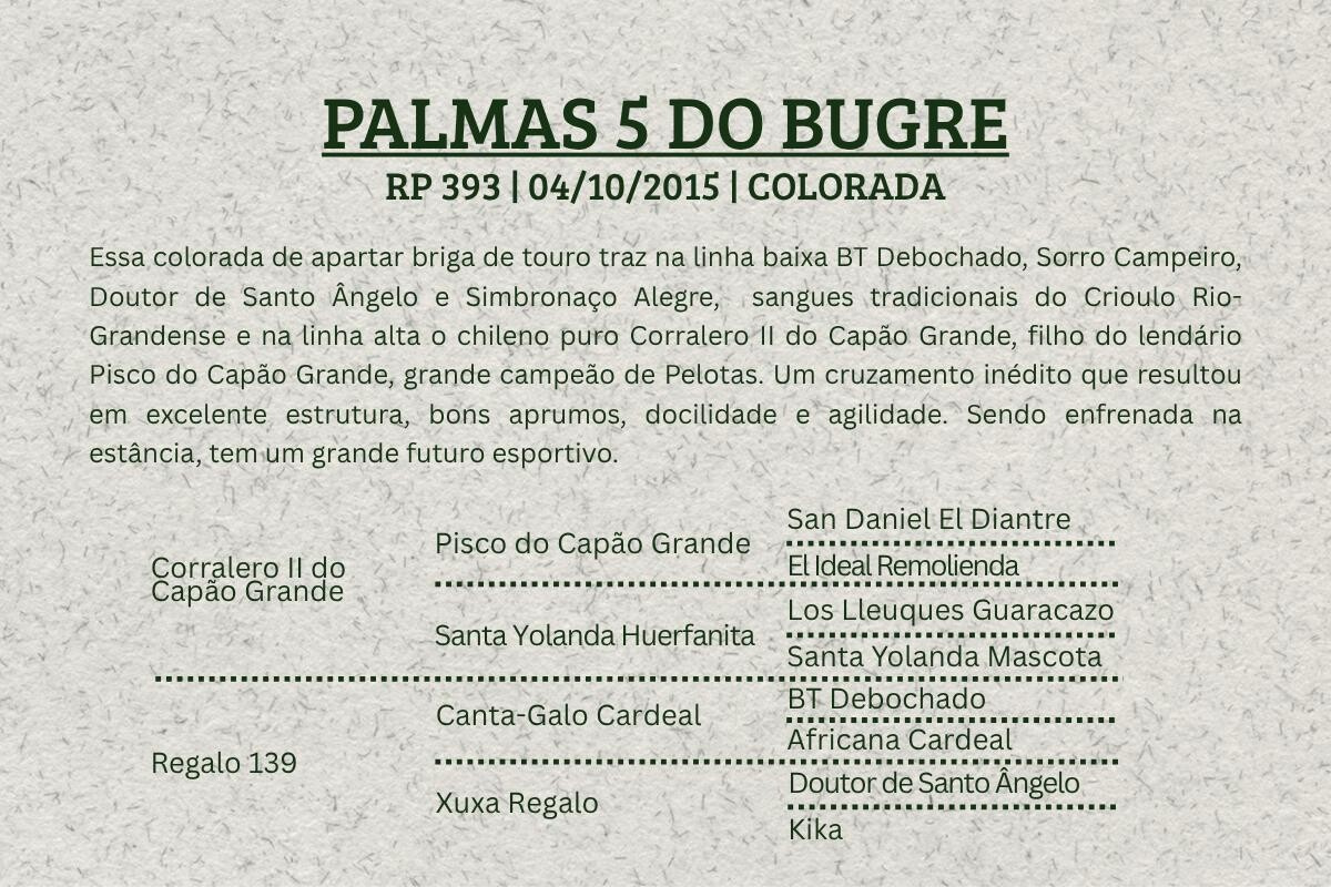 Geração PALMAS 5 DO BUGRE