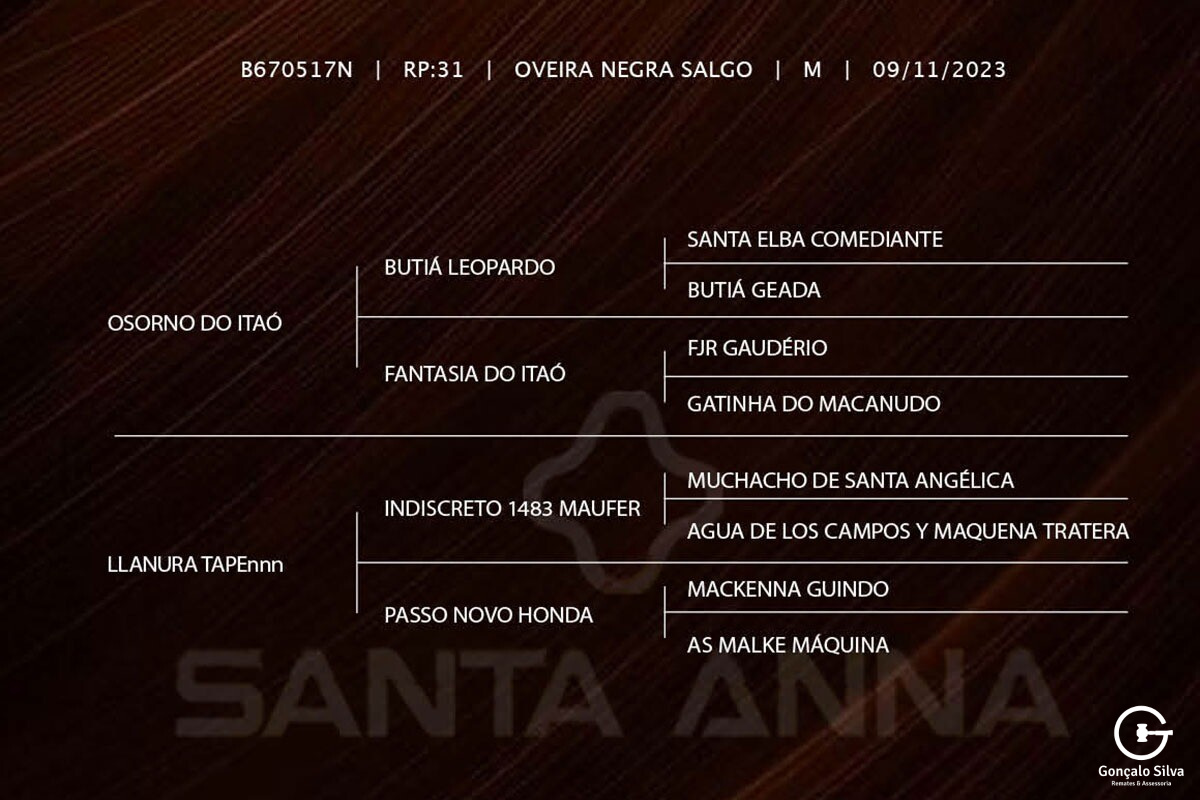 Geração LA MONTURA QUE MANCHA ( COTA 10% )