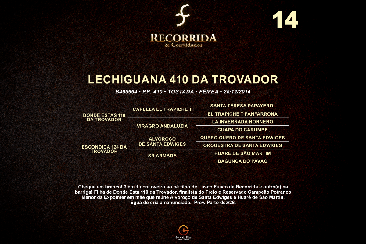 Geração LECHIGUANA 410 DA TROVADOR 
