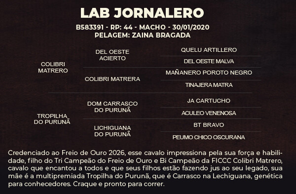 Geração LAB JORNALERO - VENDA VERTICAL