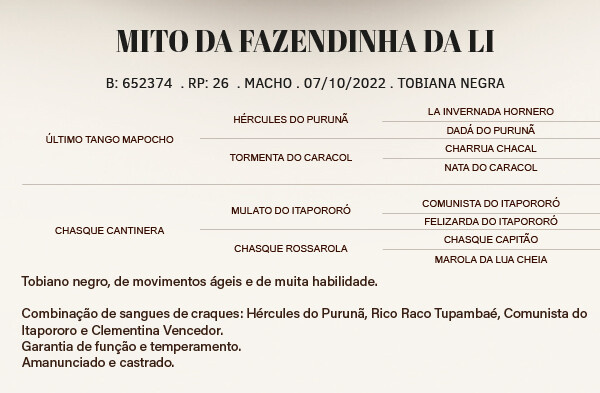 Geração MITO DA FAZENDINHA DA LI