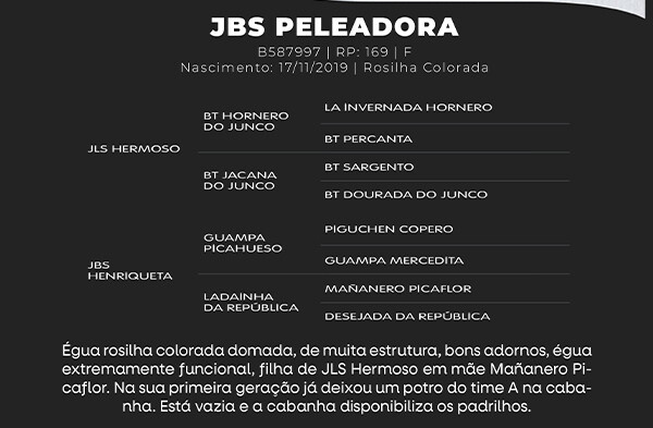 Geração JBS PELEADORA