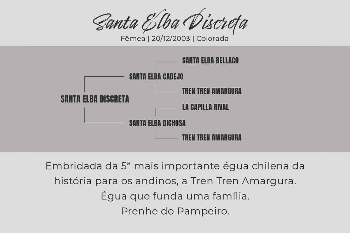 Geração  SANTA ELBA DISCRETA