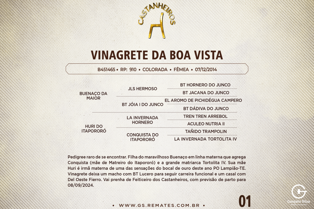 Geração VINAGRETE DA BOA VISTA