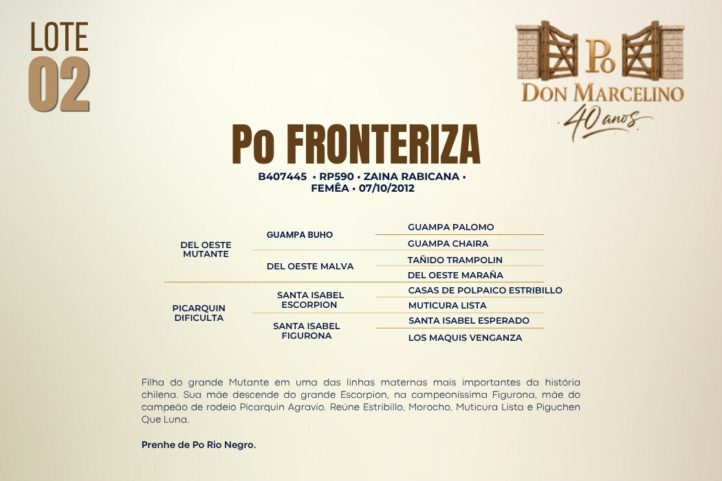 Geração PO FRONTERIZA