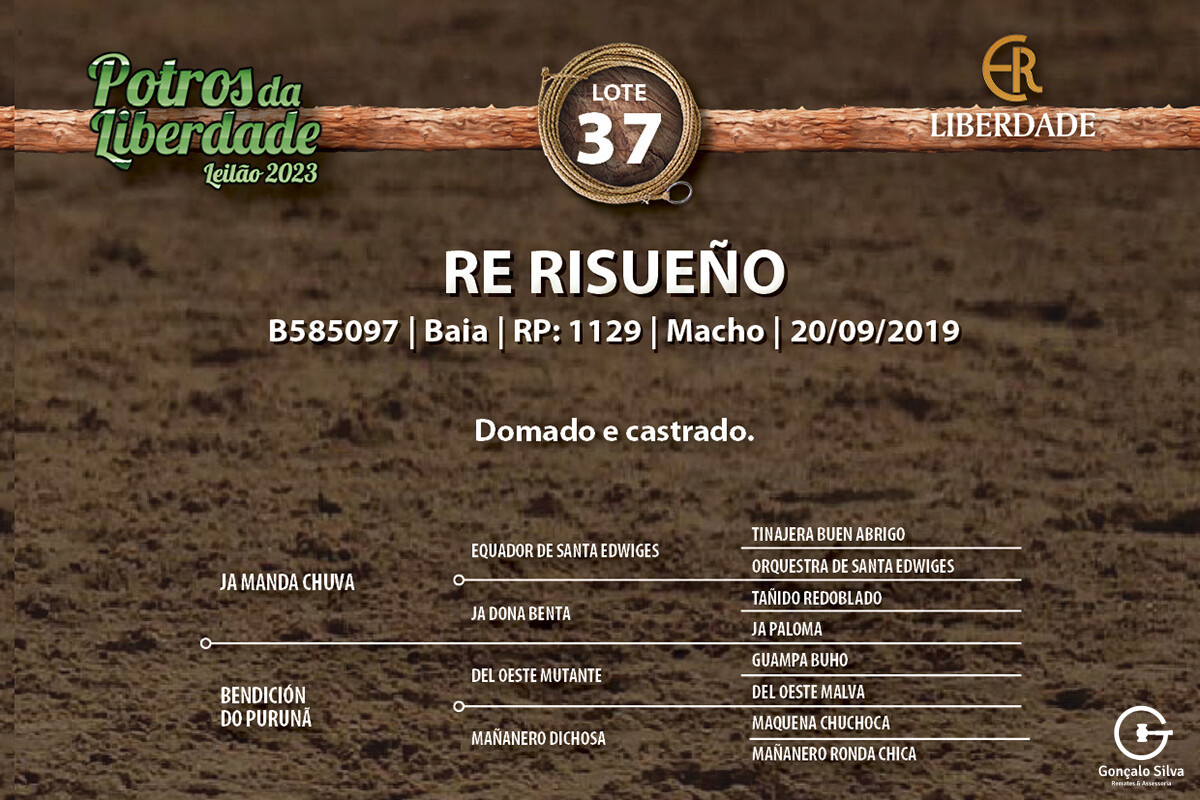 Geração RE RISUEÑO