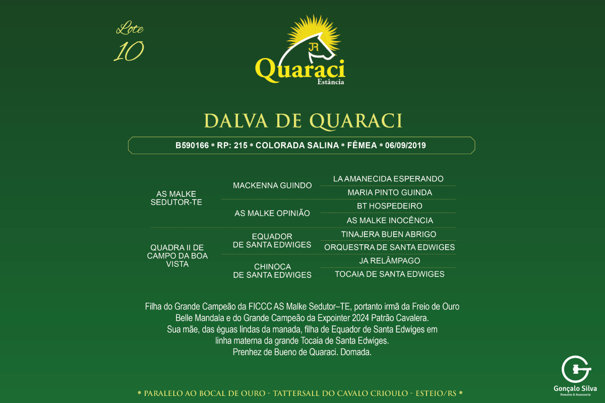 Geração DALVA DE QUARACI 