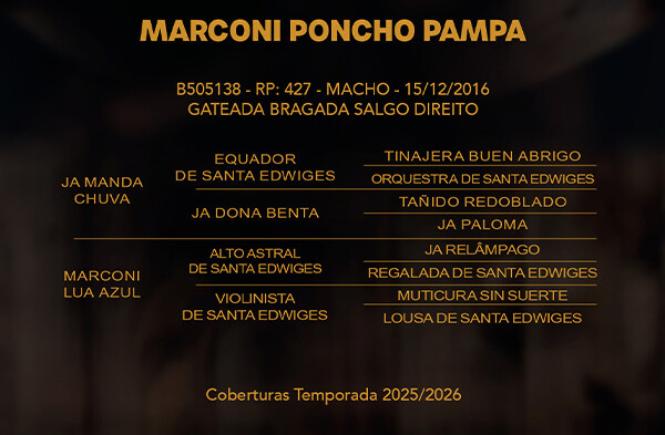 Geração MARCONI PONCHO PAMPA