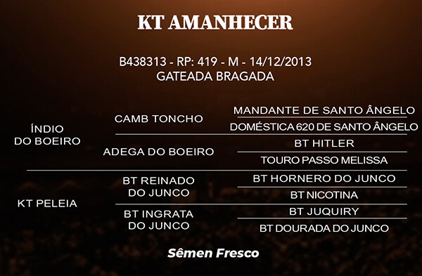 Geração KT AMANHECER