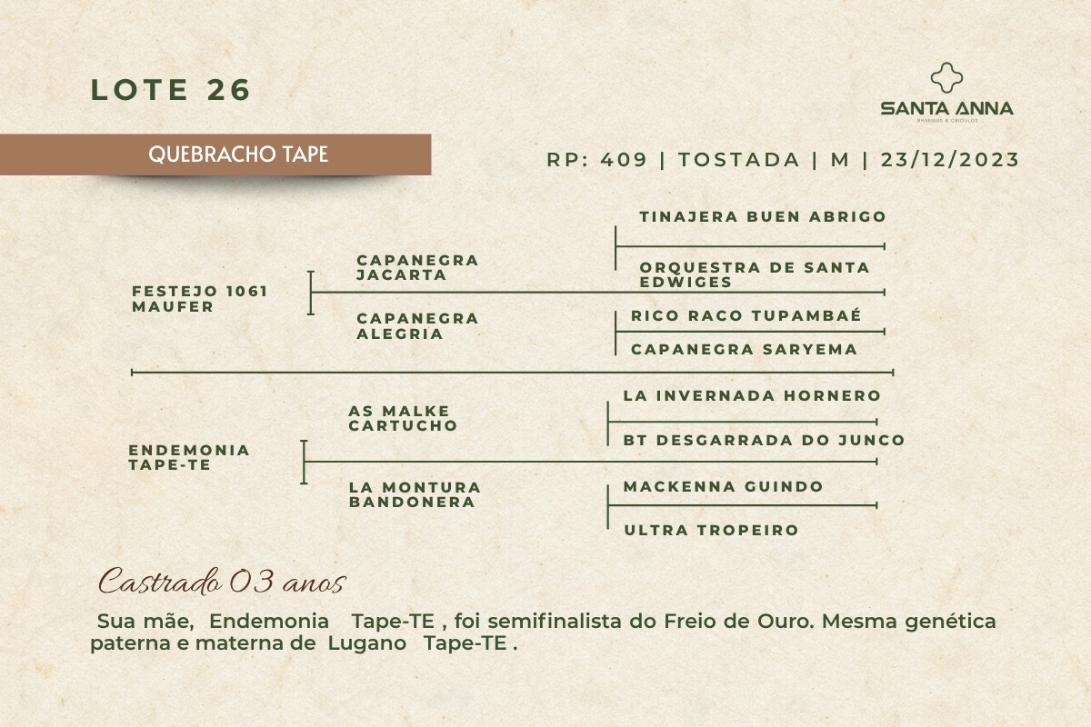 Geração QUEBRACHO TAPE