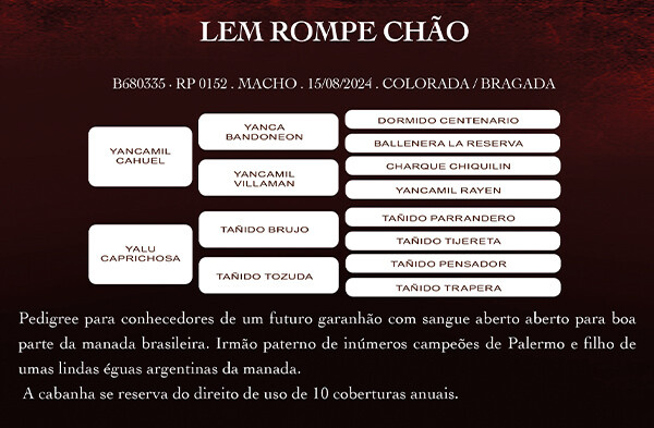 Geração LEM ROMPE CHÃO
