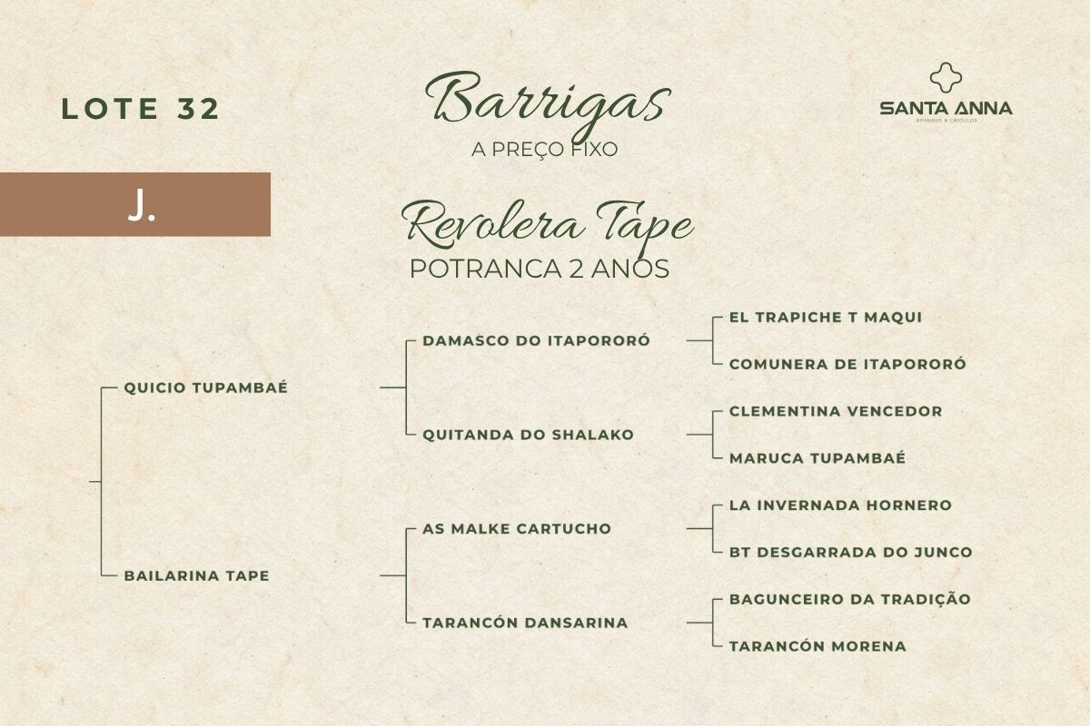 Geração REVOLERA TAPE