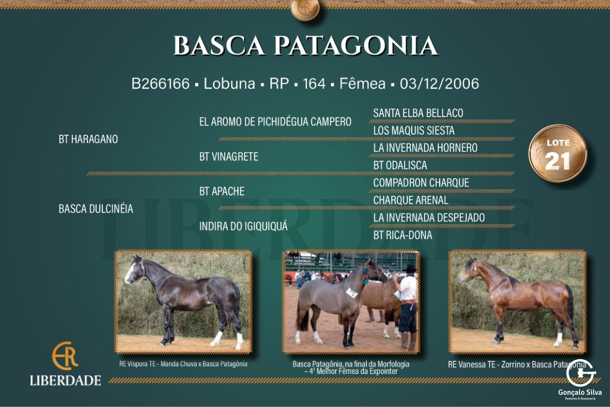 Geração  BASCA PATAGONIA