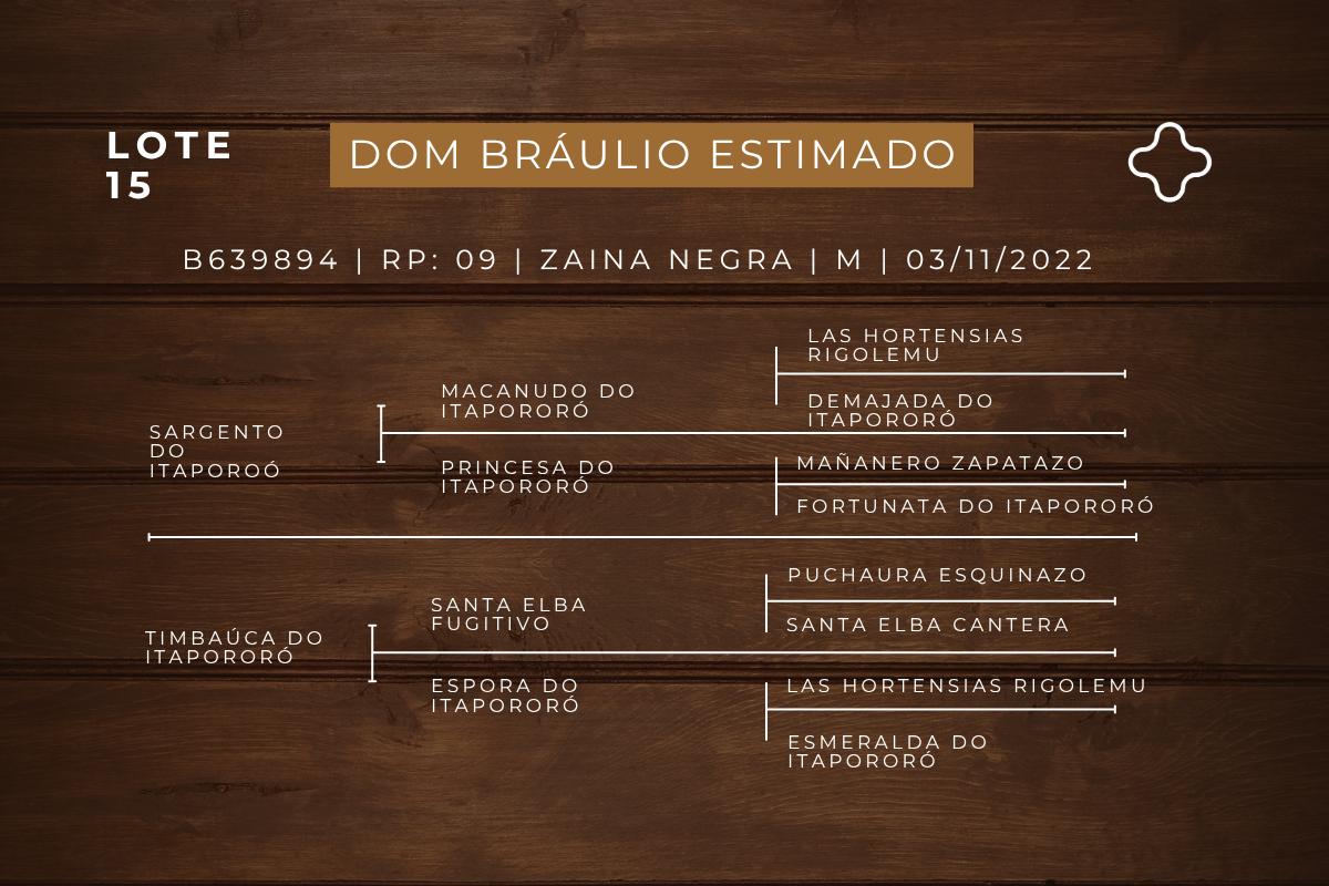 Geração DOM BRAULIO ESTIMADA