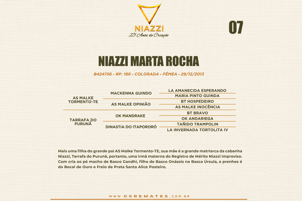 Geração NIAZZI MARTA ROCHA