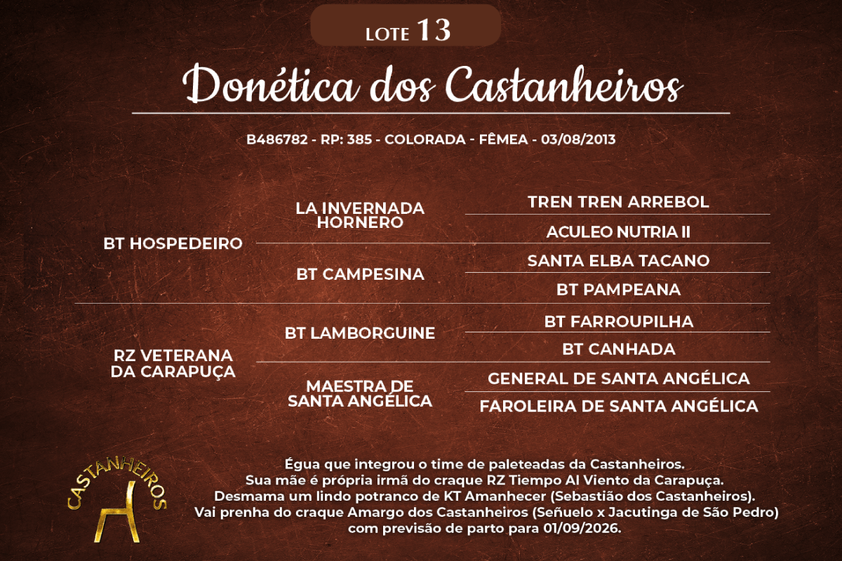 Geração DONÉTICA DOS CASTANHEIROS