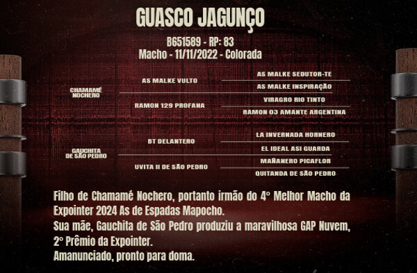 Geração GUASCO JAGUNÇO