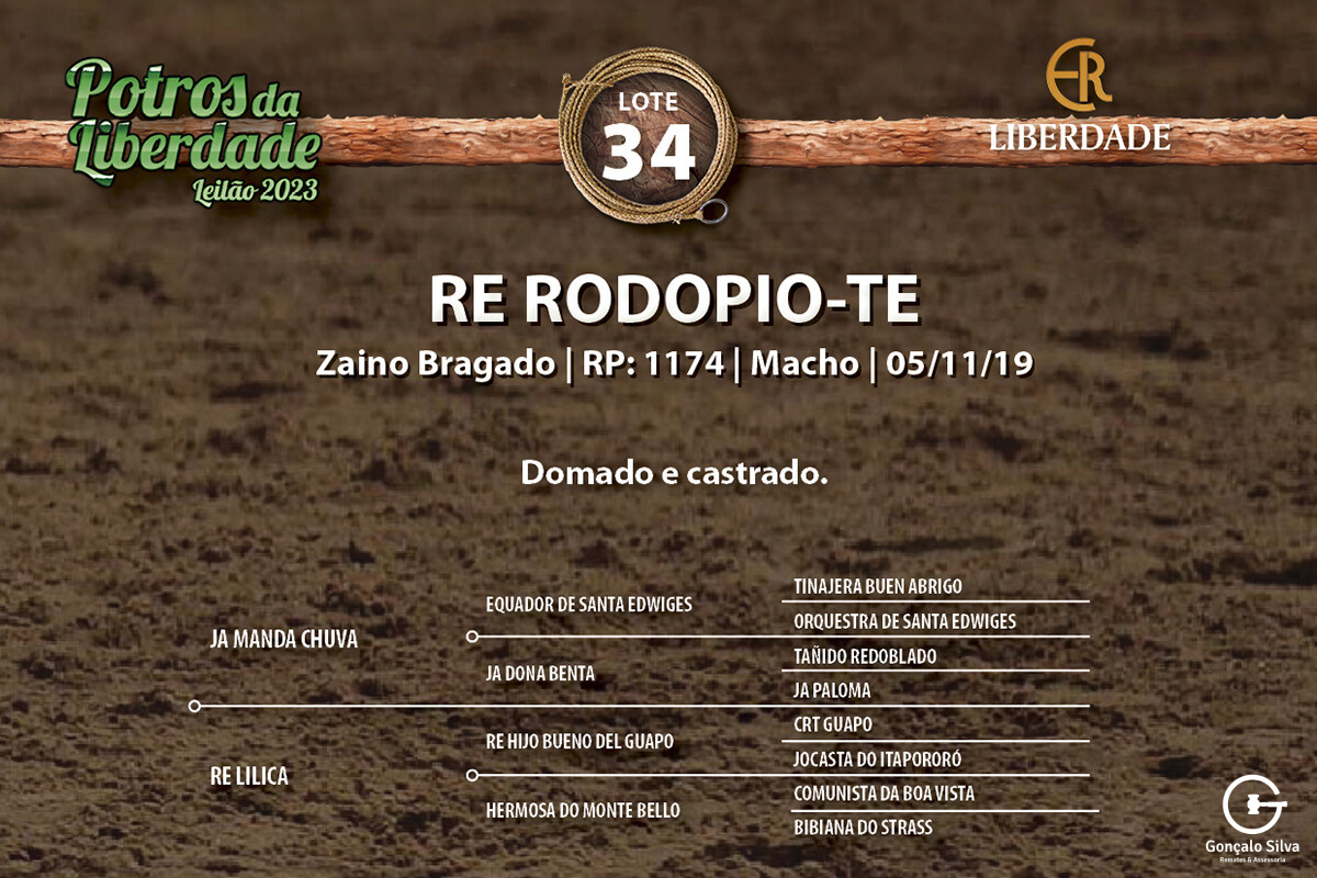 Geração RE RODOPIO-TE