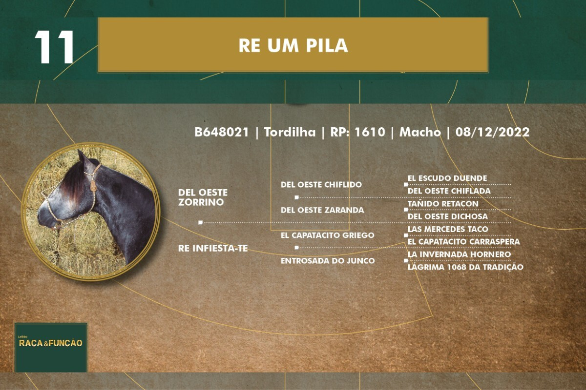 Geração RE UM PILA