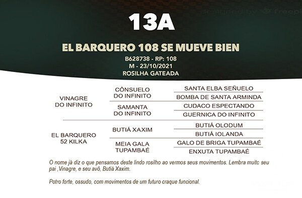 Geração EL BARQUERO 108 SE MUEVE BIEN