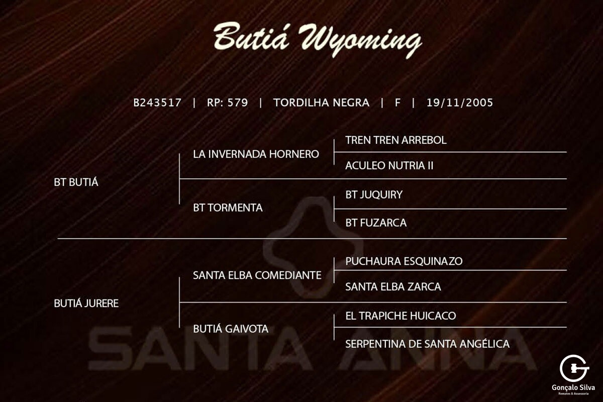 Geração BUTIA WYOMING -(Venda vertical BARRIGA )